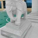 湖州 白麻花岗岩动物异形石雕-大象