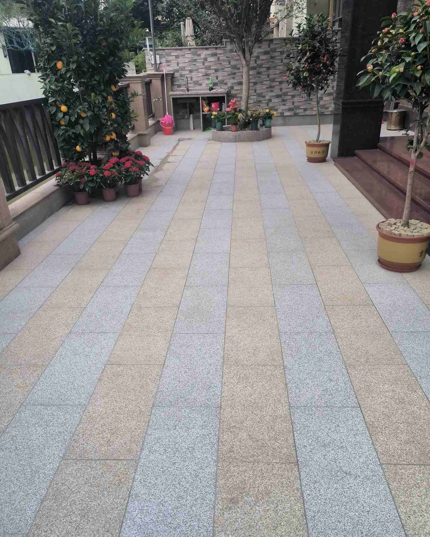 湖州 黄金麻白麻荔枝面庭院铺装展示